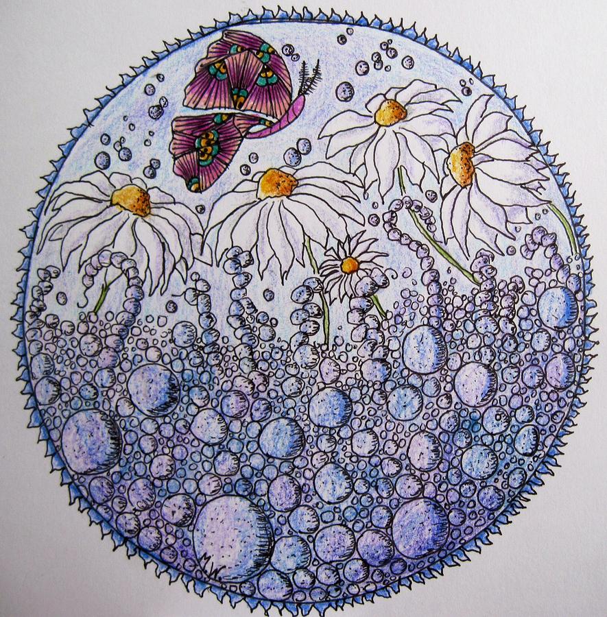 Daisies and a butterfly Drawing by Megan Walsh