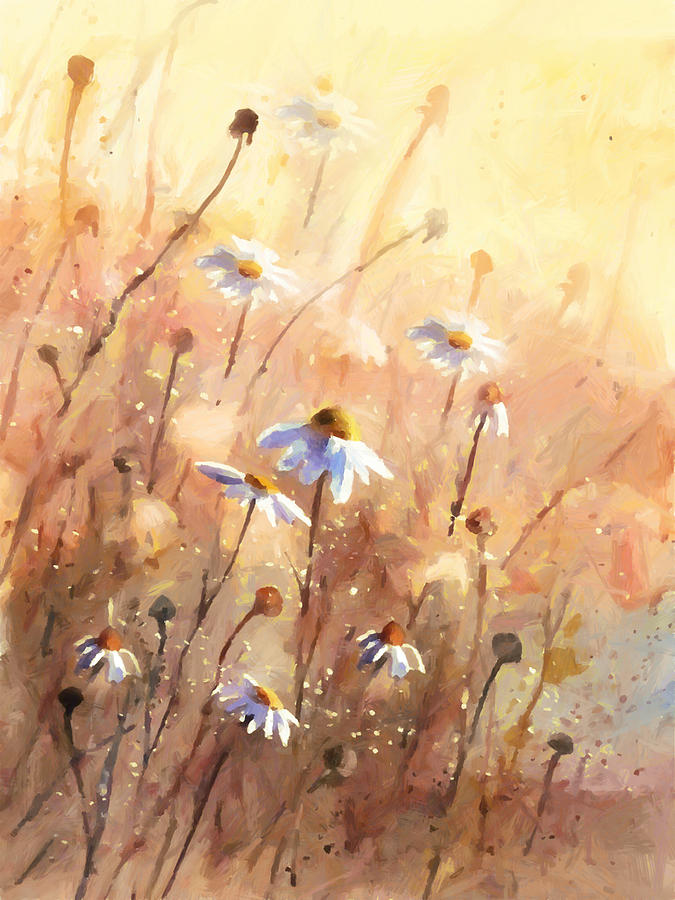 Daisies At Sunset - Impressionism Painting by Georgiana Romanovna
