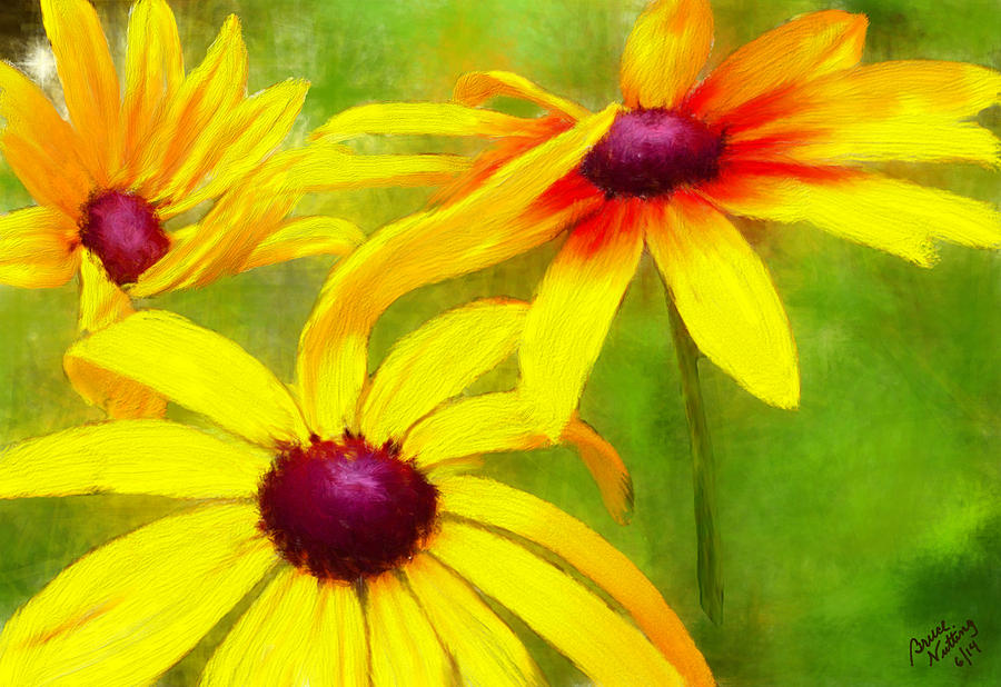 Daisies Painting by Bruce Nutting