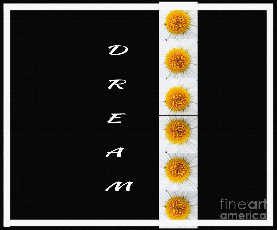Daisies Dream Black Digital Art by Barbara A Griffin