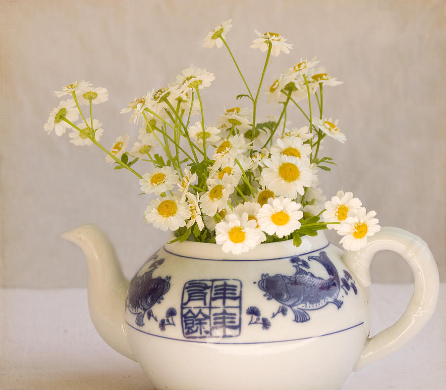 Daisy Photograph - Daisies in a Teapot by Peggy Collins