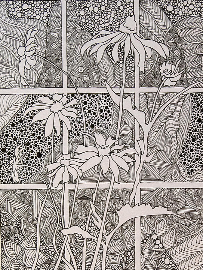 Daisies in a Window Drawing by Terry Holliday
