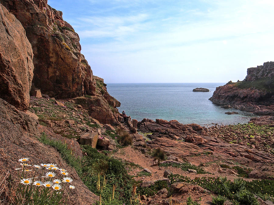 Daisies In The Granite Rocks at Corbiere Photograph by Gill Billington