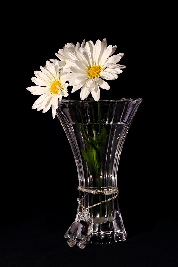 Daisies In Vase Photograph by Tracie Schiebel