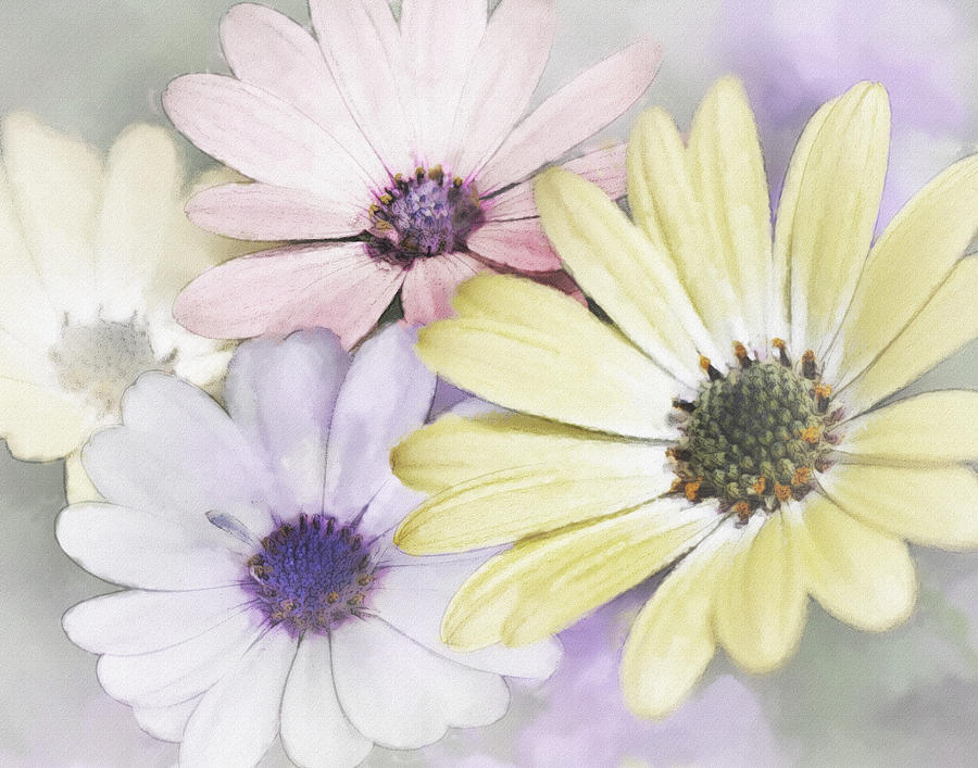 Daisies in Water Color Photograph by David and Carol Kelly