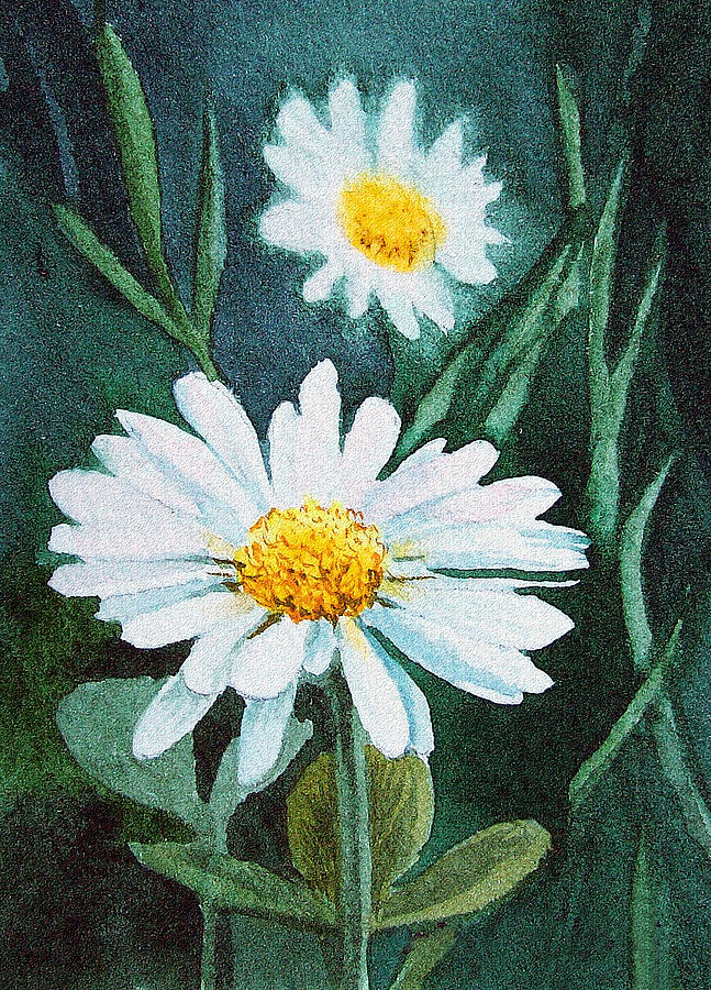Daisies  Painting by Irina Sztukowski