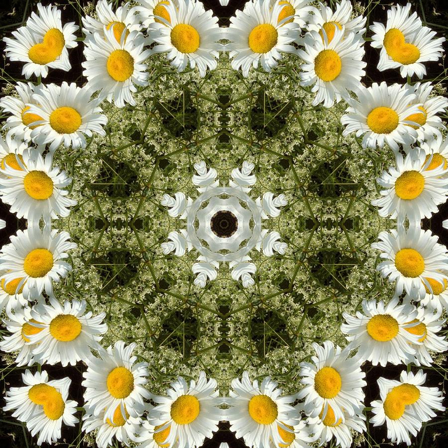 Daisies Kaleidoscope Photograph by Valerie Kirkwood