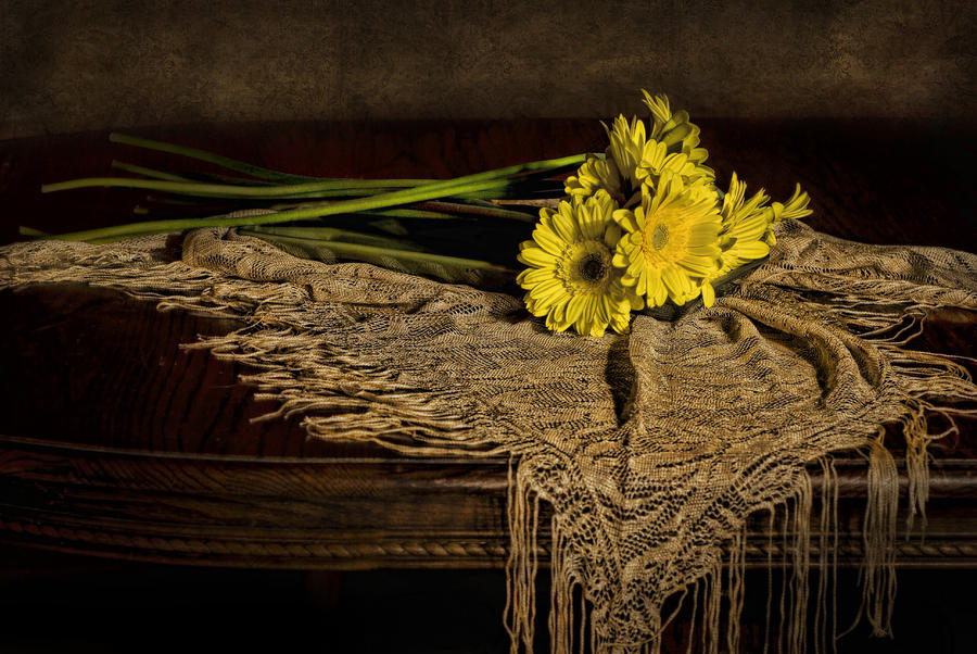 Daisies on the Table Photograph by Leah McDaniel