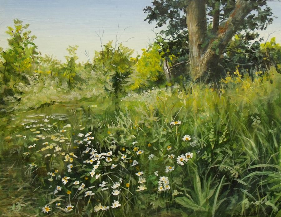 Daisies Painting by William Brody