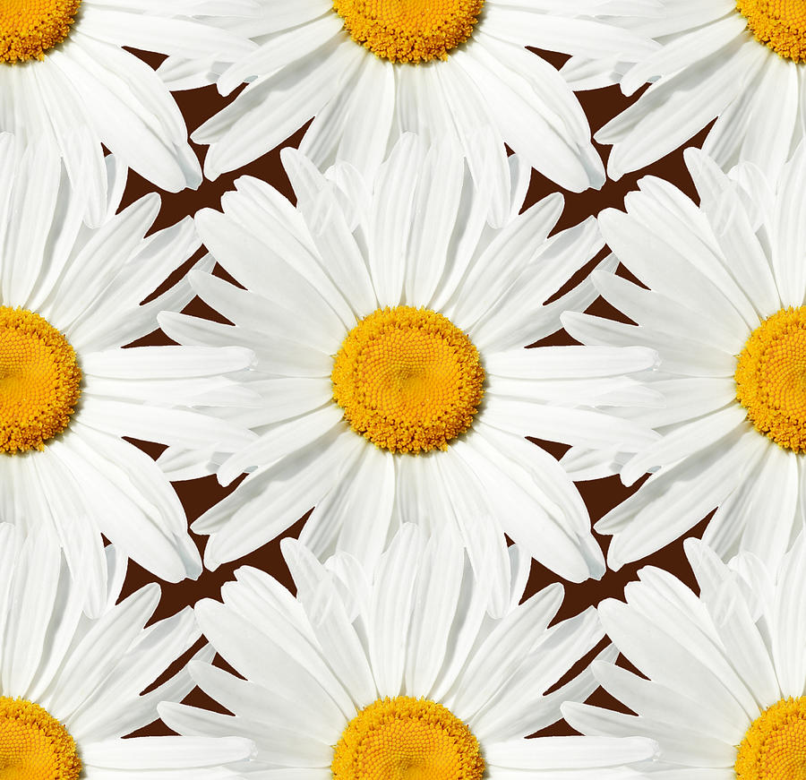 Daisy Digital Art - Daising - 03 by Variance Collections