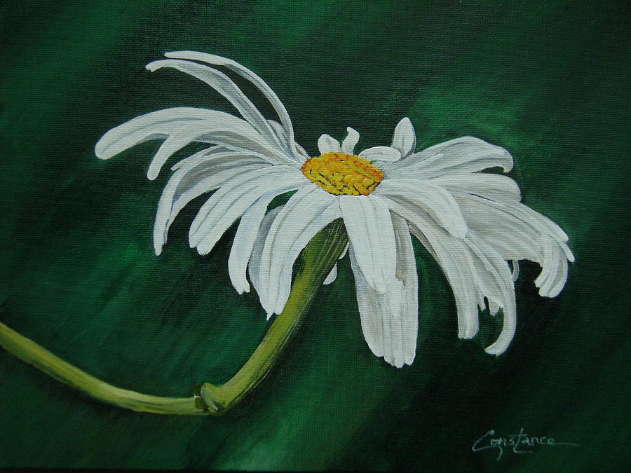 Daisy Painting - Daisy by Connie Rowsell