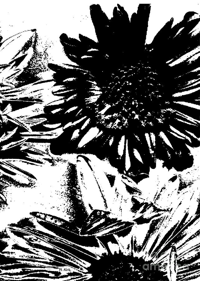 Daisy Crop BW Threshold Photograph by Heather Kirk