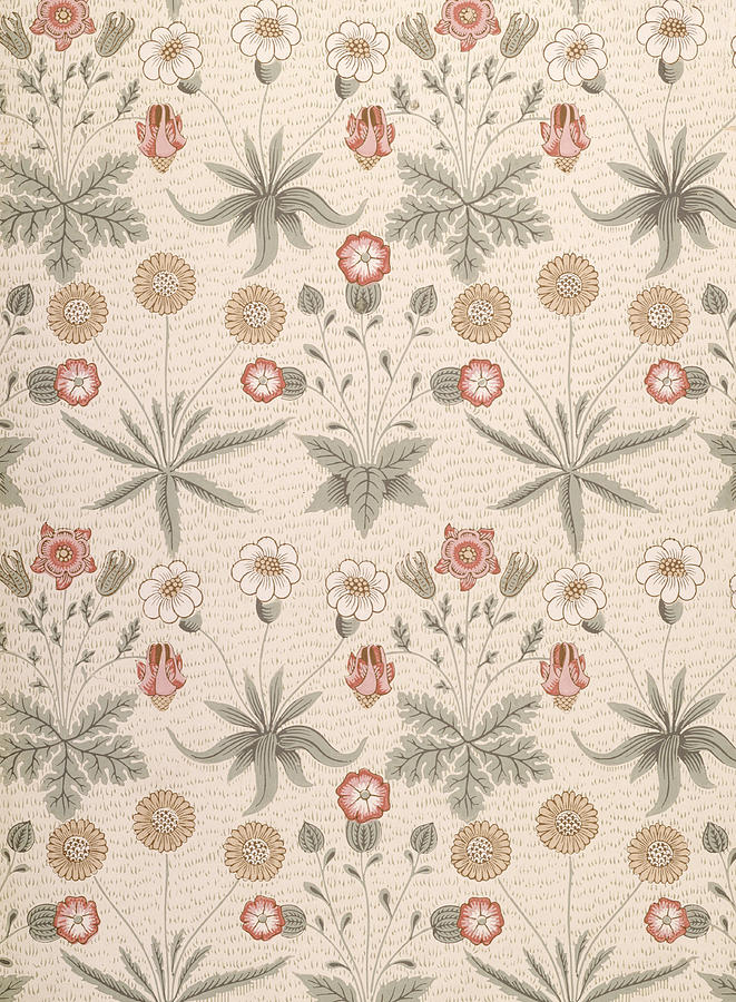 Daisy, First William Morris Design Drawing by William Morris