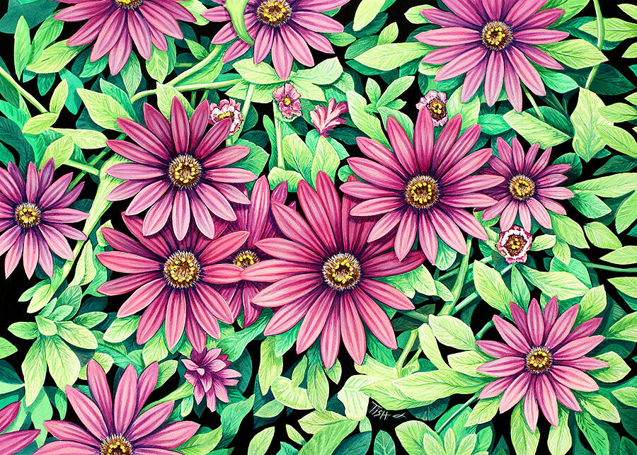 Daisy Flowers Painting by Tish Wynne