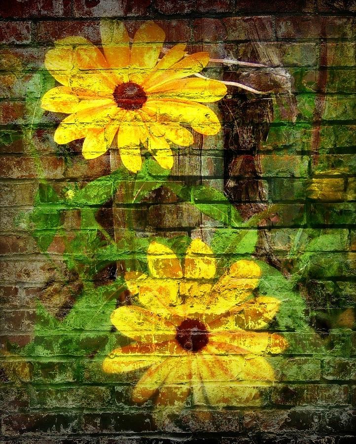 Daisy Graffiti Print Photograph by Lois Bailey