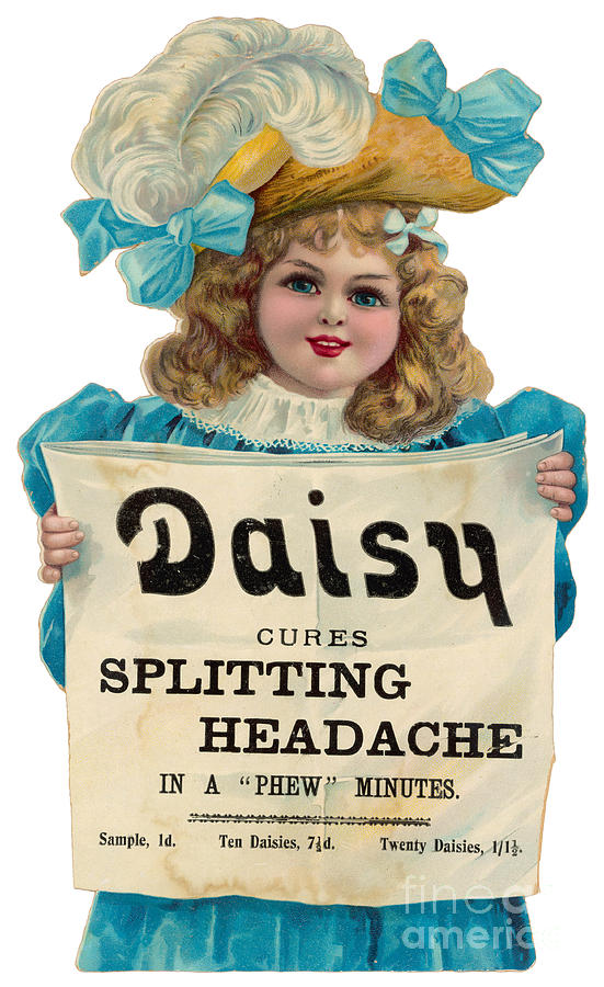 Daisy Headache Cure Photograph by Mary Evans