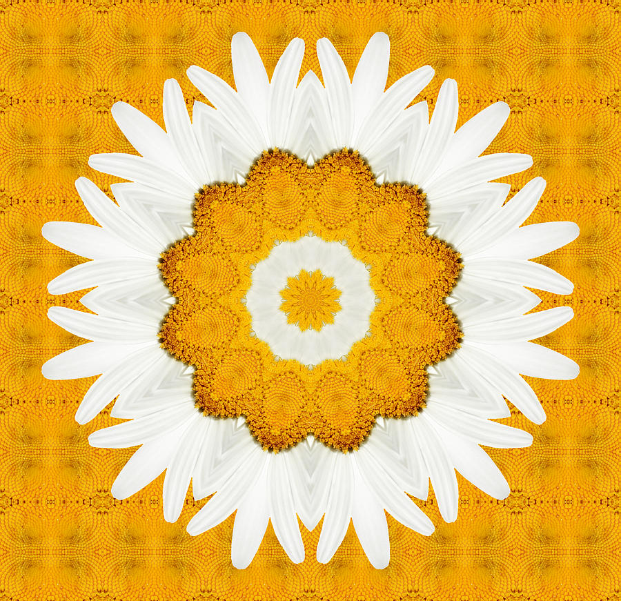 Symmetry Digital Art - Daisy Mandala 01 by Variance Collections