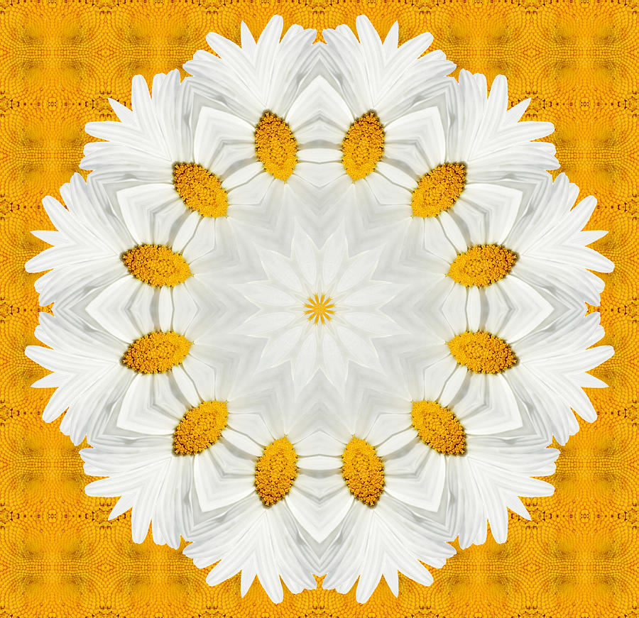 Yellow Digital Art - Daisy Mandala 02 by Variance Collections