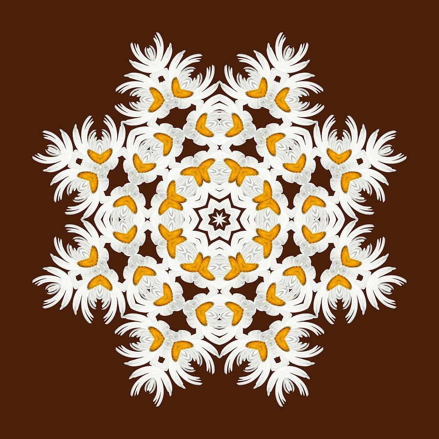 Daisy Mandala  12t Digital Art by Variance Collections