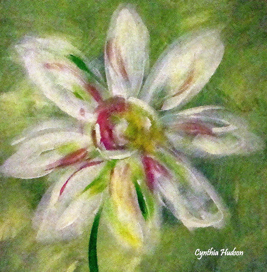 Daisy On Green Painting by Cynthia Hudson