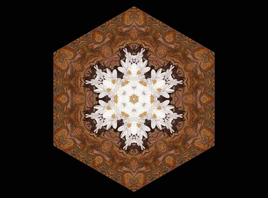 Daisy Pattern Mandala - s0125 Digital Art by Variance Collections