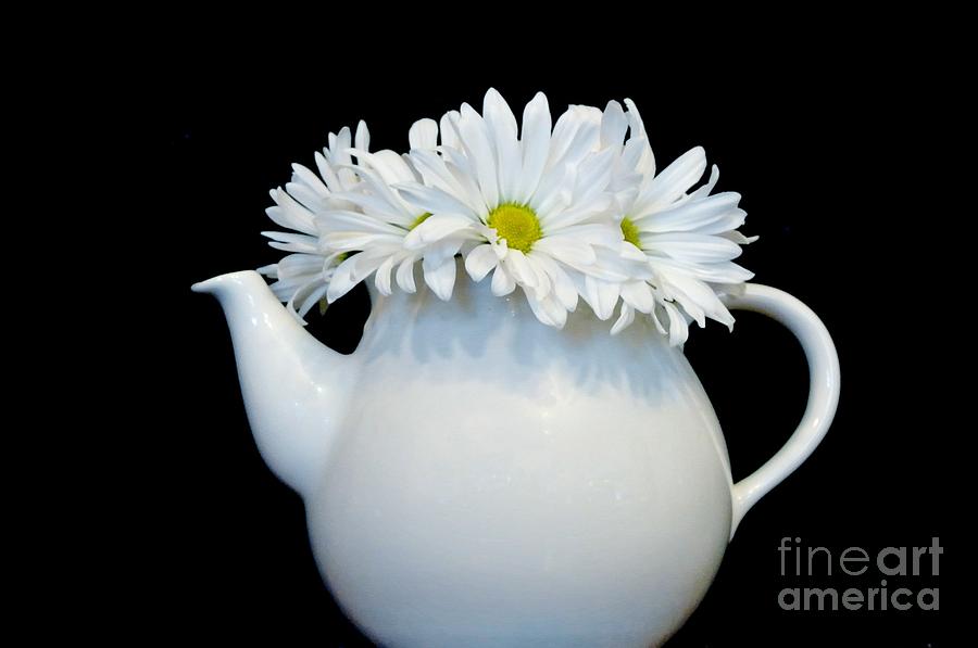 Daisy Tea Photograph by Marsha Heiken