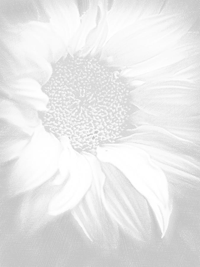 Sunflower White On White Painting by Tony Rubino