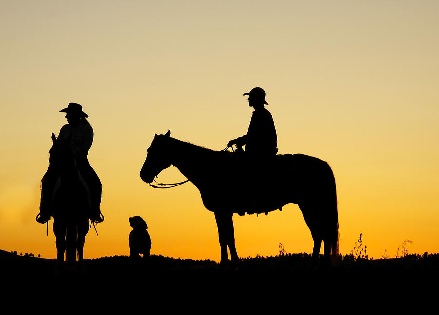 Horse Photograph - Dakota Morning by Steven Bateson