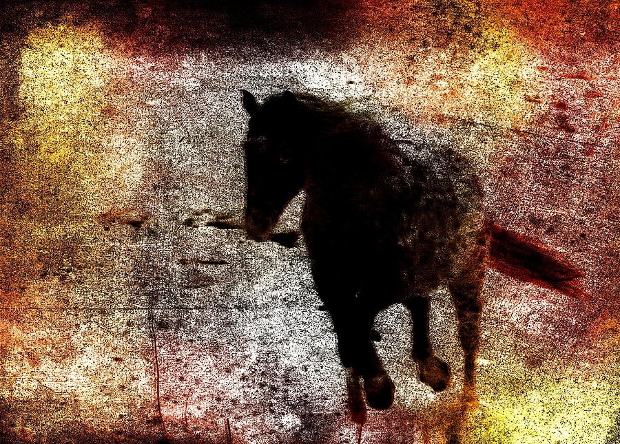 Horse Photograph - Dakota on the Run by Cathi Williams