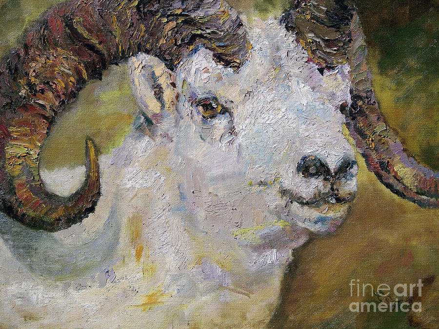 Dall Sheep Ram Painting by Ginette Callaway