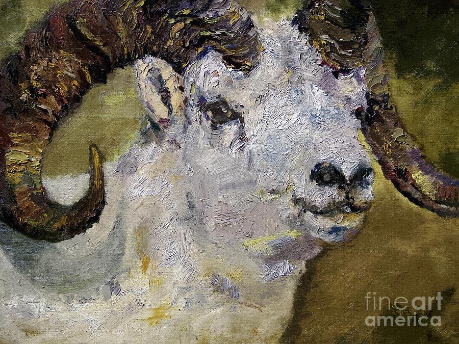 Dall Sheep Ram Wildlife Portrait Painting by Ginette Callaway