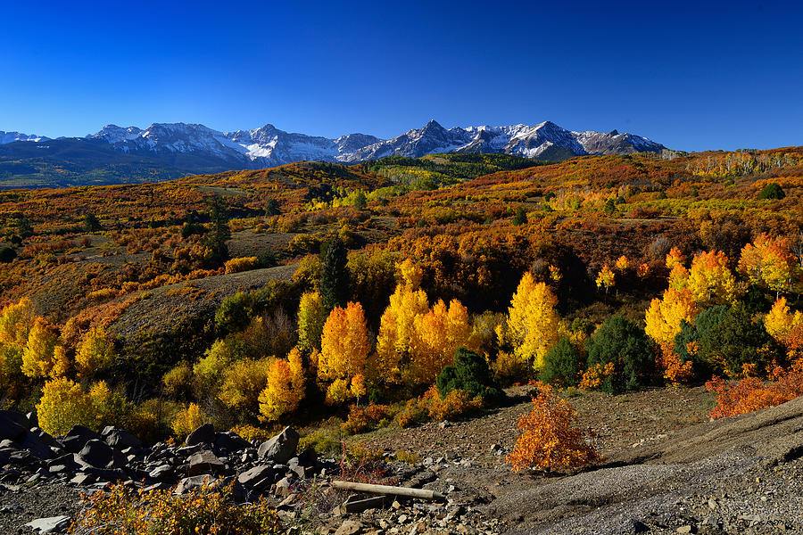 Dallas Divide Fall Colors Photograph by Rendell B - Fine Art America