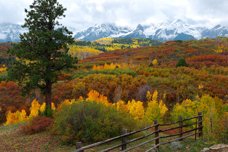 Dallas Divide Photograph by John Hoffman