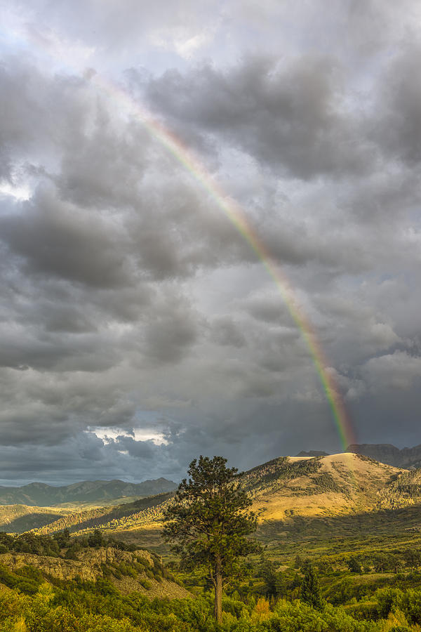 Dallas Divide Rainbow Photograph by Jon Glaser
