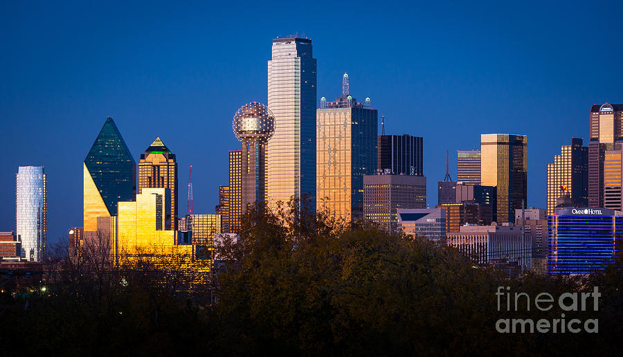 Dallas Photograph - Dallas Skyline by Inge Johnsson