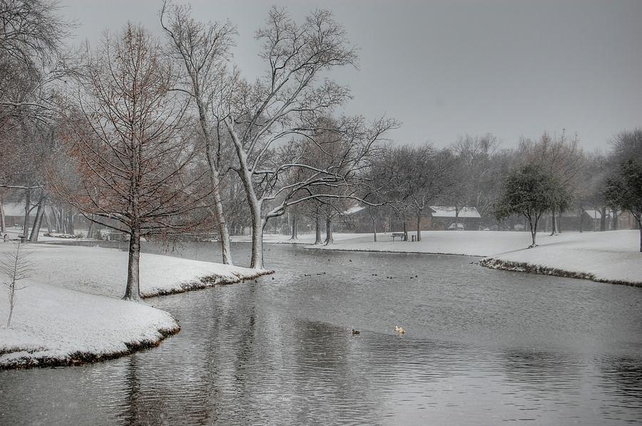 Dallas Snow Day Photograph By Bill Hamilton Fine Art America