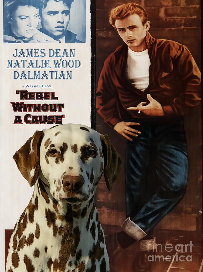 Dalmatian Art Canvas Print - Rebel without a Cause Movie Poster Painting by Sandra Sij