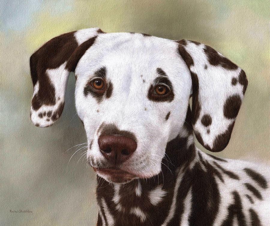 Dog Painting - Dalmatian Painting by Rachel Stribbling