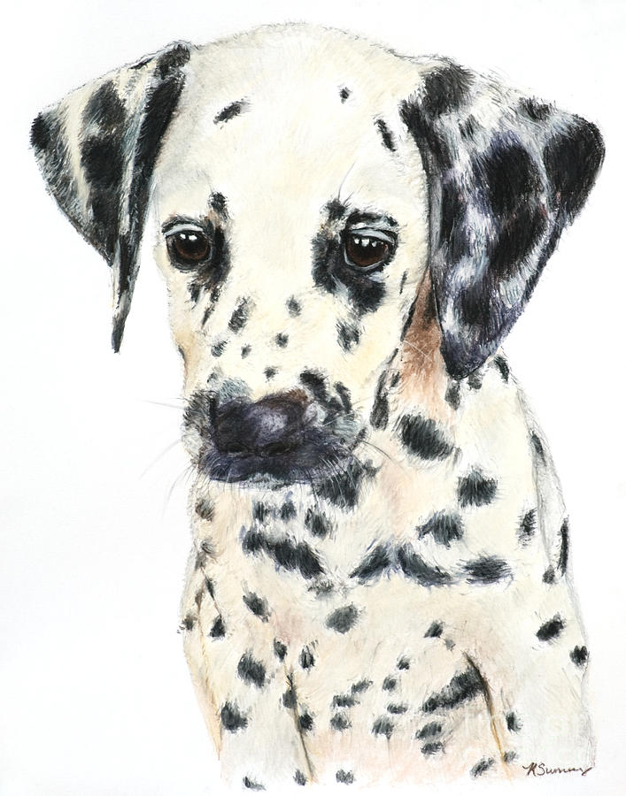 Dalmatian Painting - Dalmatian Puppy Painting by Kate Sumners