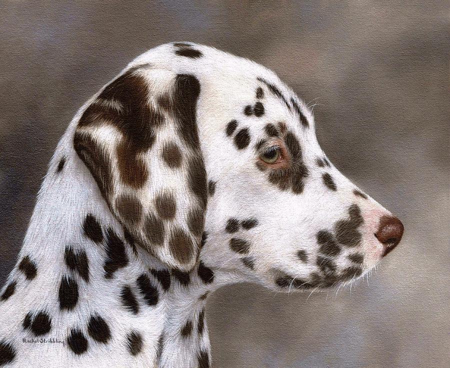 Dog Painting - Dalmatian Puppy Painting by Rachel Stribbling