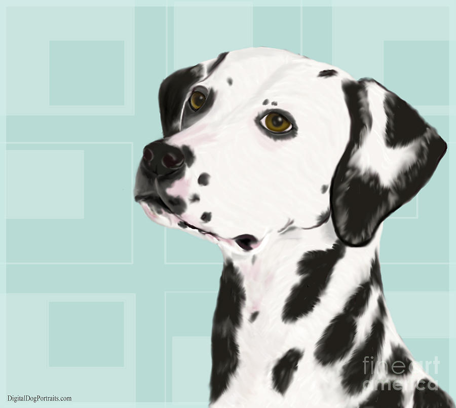 Dalmatian With A Dreamy Look Digital Art By Idan Badishi Fine Art America