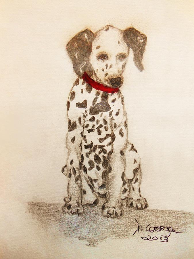 Dog Drawing - Dalmation Puppy by Deborah Gorga