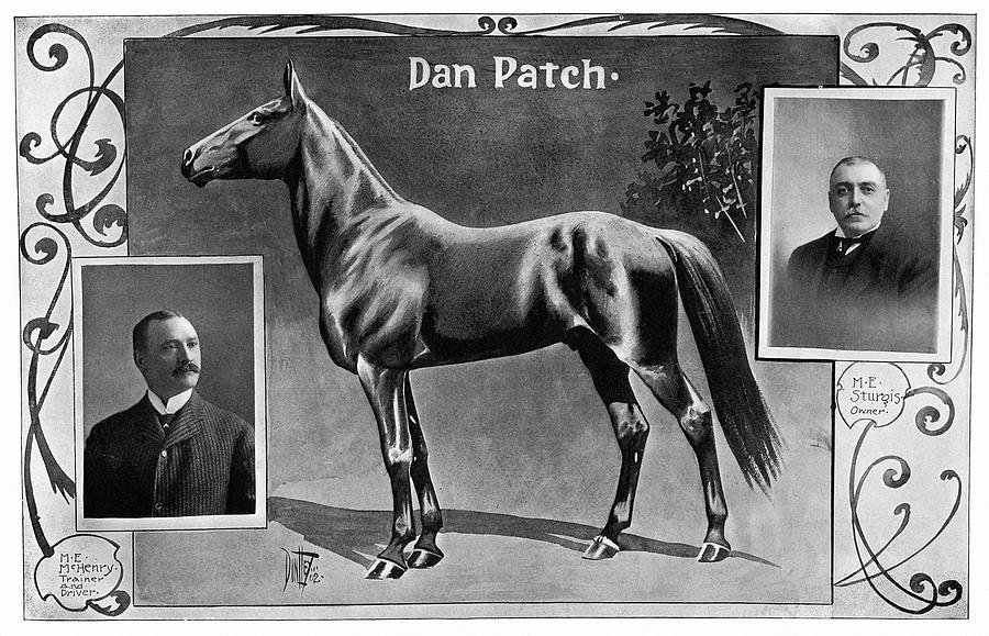 Horse Photograph - Dan Patch (1896-1916) by Granger