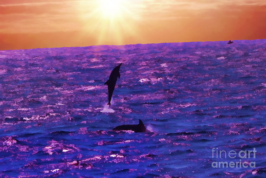 Sunset Photograph - Dana Point CA Dolphins HDR Oil by Tommy Anderson