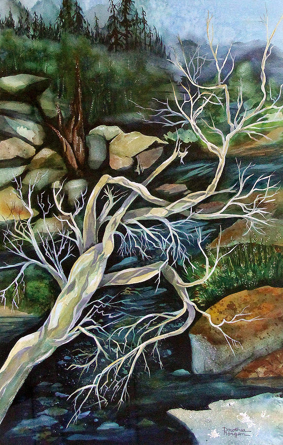 Driftwood Painting by Dorothea  Morgan
