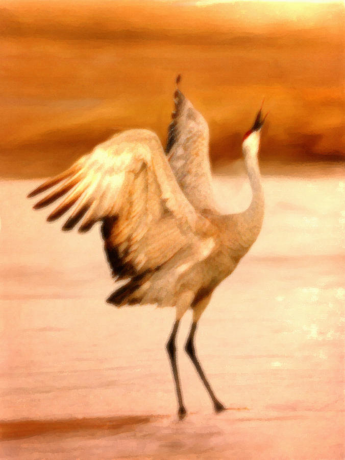 Wildlife Painting - Dance of the Crane by Dennis Buckman
