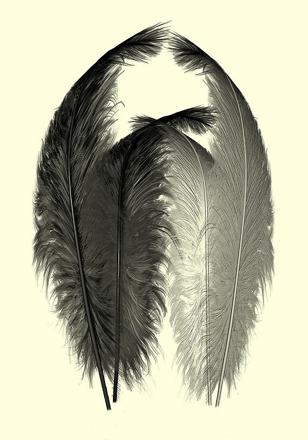 Dance Of The Feathers Digital Art by David Dehner