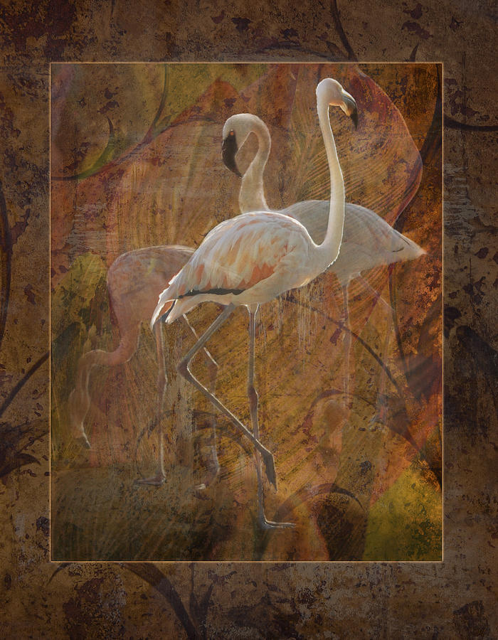 Bird Photograph - Dance of the Flamingos by Melinda Hughes-Berland