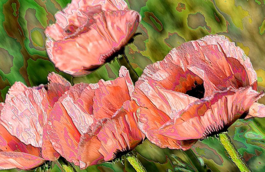 Nature Photograph - Dance of the Poppies by Jacqui Binford-Bell