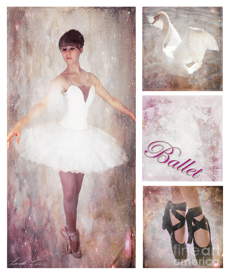 Dance series - Ballet Digital Art by Linda Lees